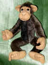 chimp.jpg (58498 bytes)